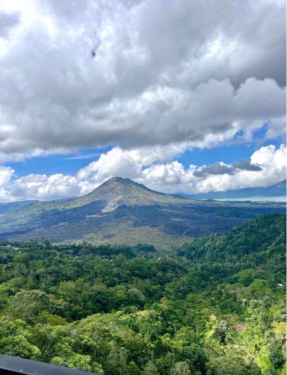 Kintamani Coffee Farm